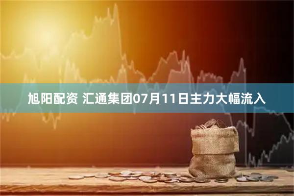 旭阳配资 汇通集团07月11日主力大幅流入