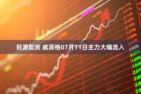 旺源配资 威派格07月11日主力大幅流入
