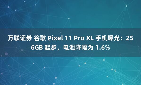 万联证券 谷歌 Pixel 11 Pro XL 手机曝光：256GB 起步，电池降幅为 1.6%